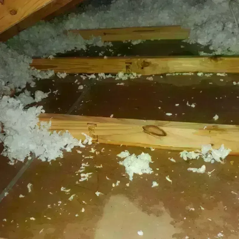 Attic Water Damage in South Park Township, PA